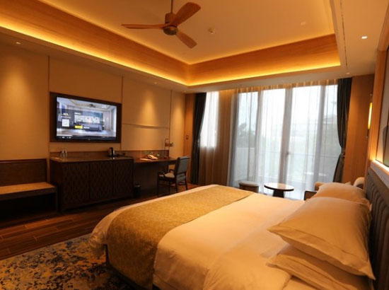 博鳌亚洲论坛会议中心东屿岛度假区豪华海景大床房(亚洲论坛大酒店)