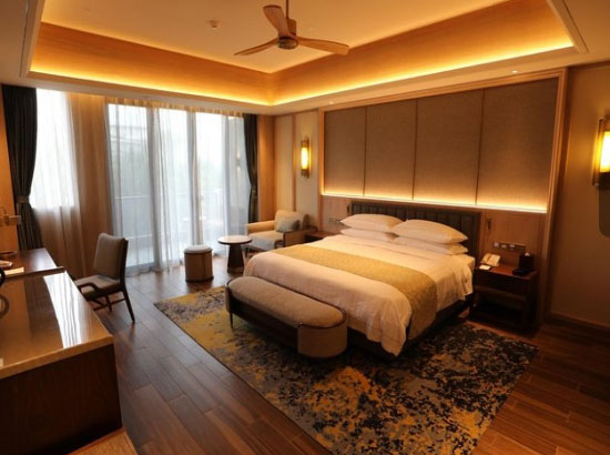 博鳌亚洲论坛会议中心东屿岛度假区行政大床房(亚洲论坛大酒店)