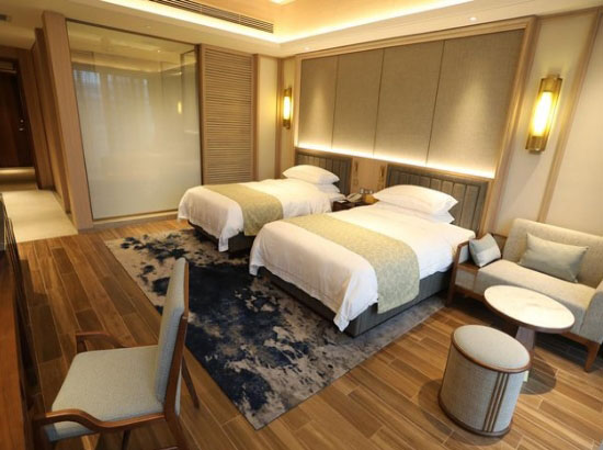 博鳌亚洲论坛会议中心东屿岛度假区行政双床房(亚洲论坛大酒店)