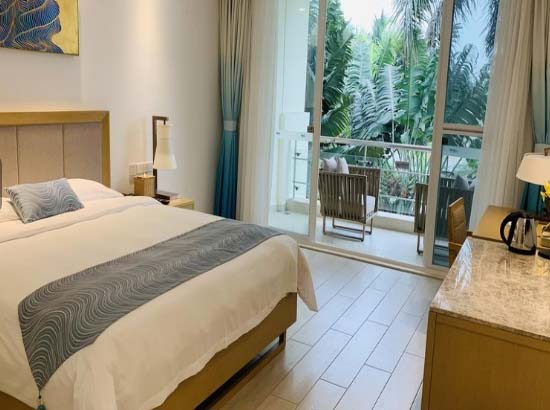 琼海博鳌亚洲论坛金海岸温泉大酒店棕榈岛园景大床房