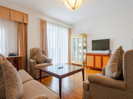 琼海博鳌亚洲论坛金海岸温泉大酒店商务客房